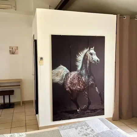 Le Maset En Camargue Σαιντ-Μαρί-ντε-λα-Μερ